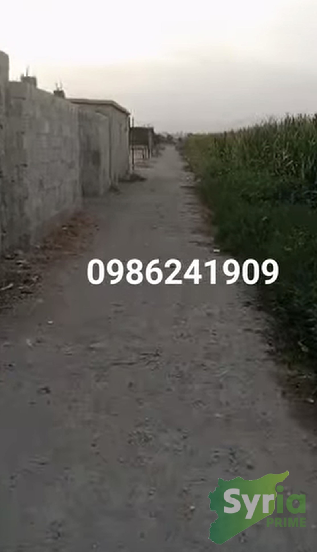 مزرعة للبيع في إدلب، سراقب — صورة 1