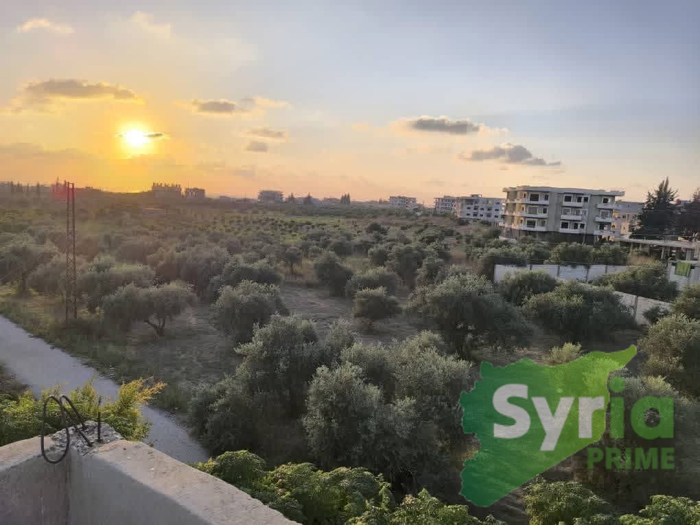 Syria Prime - عقارات سوريا برايم - gallery_14446 Sale Land Latakia 600000000 SYP