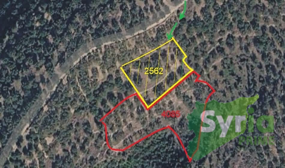 Syria Prime - عقارات سوريا برايم -1 Sale Land Tartus 100000 USD