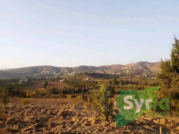Syria Prime - عقارات سوريا برايم -1 Sale Land Latakia 19000 USD