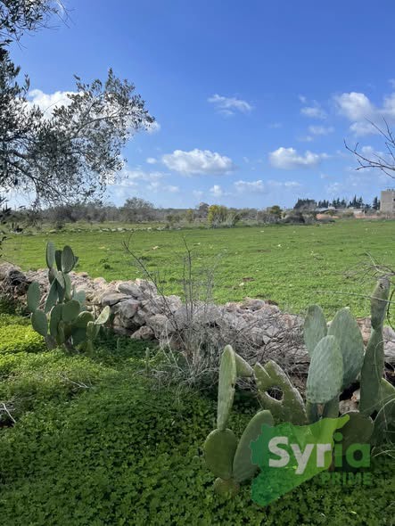 Syria Prime - عقارات سوريا برايم -1 Sale Land Latakia 500000000 SYR