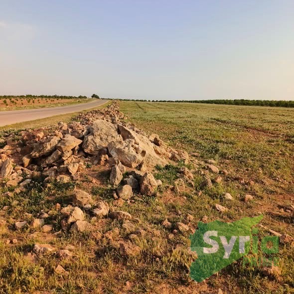 Syria Prime - عقارات سوريا برايم -1 Sale Land Homs 140000000 SYP