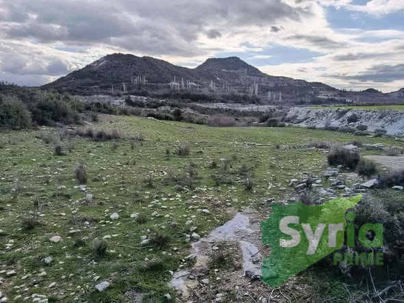 Syria Prime - عقارات سوريا برايم -2 Sale Land Latakia 3500 USD
