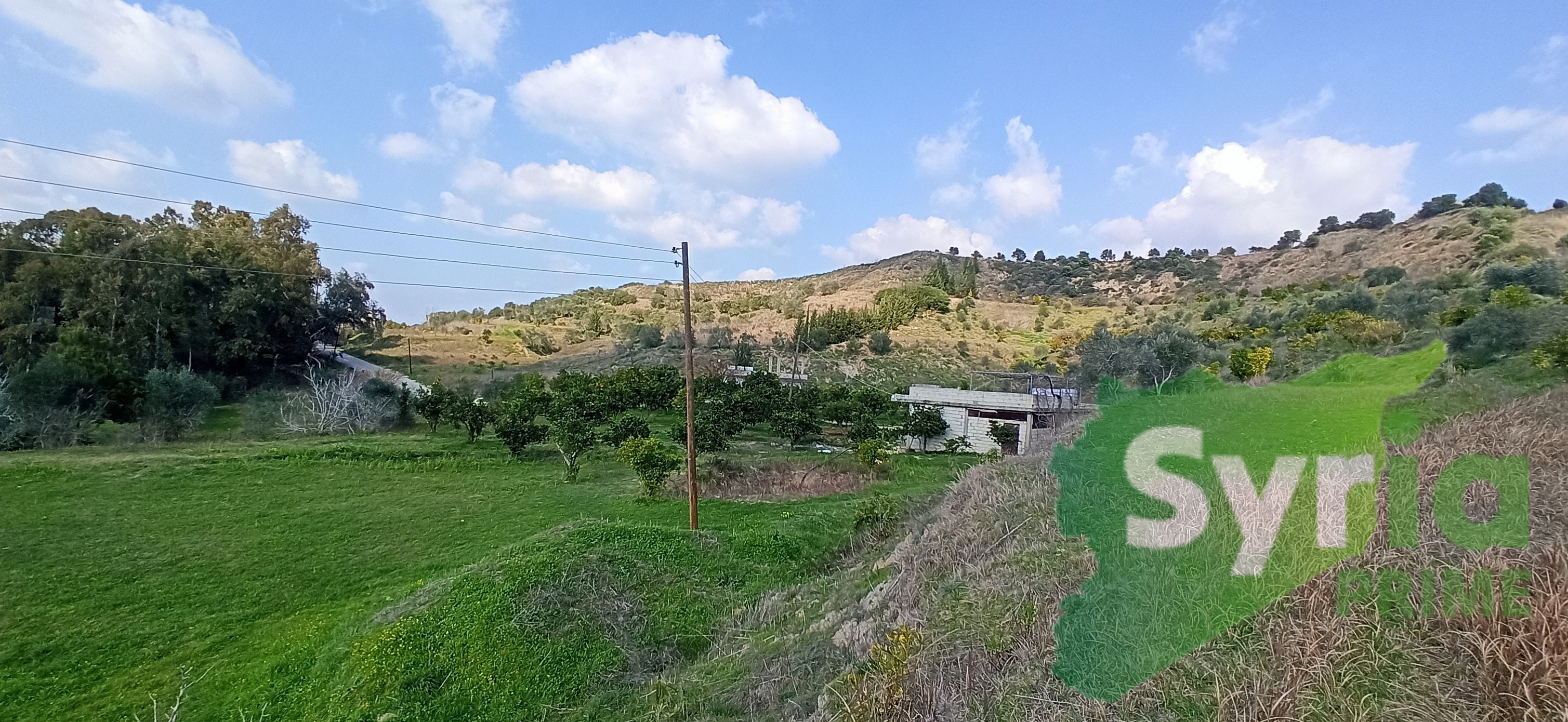 Syria Prime - عقارات سوريا برايم -1 Sale Farm Latakia 110000 USD