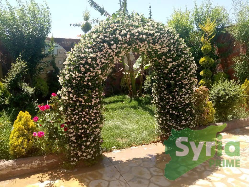 Syria Prime - عقارات سوريا برايم -0 Sale Farm RifDimashq 70000 USD