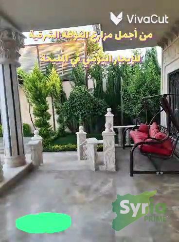 Syria Prime - عقارات سوريا برايم -4 Rent Farm RifDimashq 1500000 SYP
