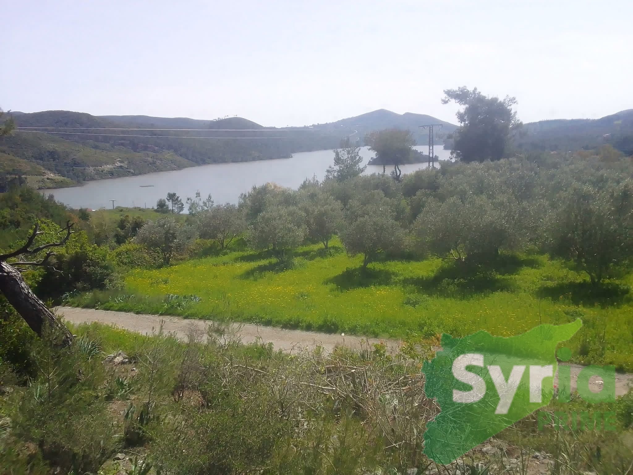 Syria Prime - عقارات سوريا برايم -1 Sale Land Latakia 50000 USD