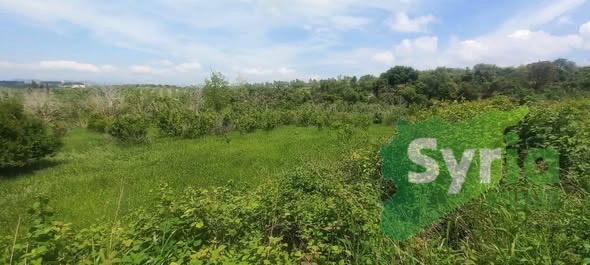 Syria Prime - عقارات سوريا برايم -1 Sale Land Latakia 260000000 SYP