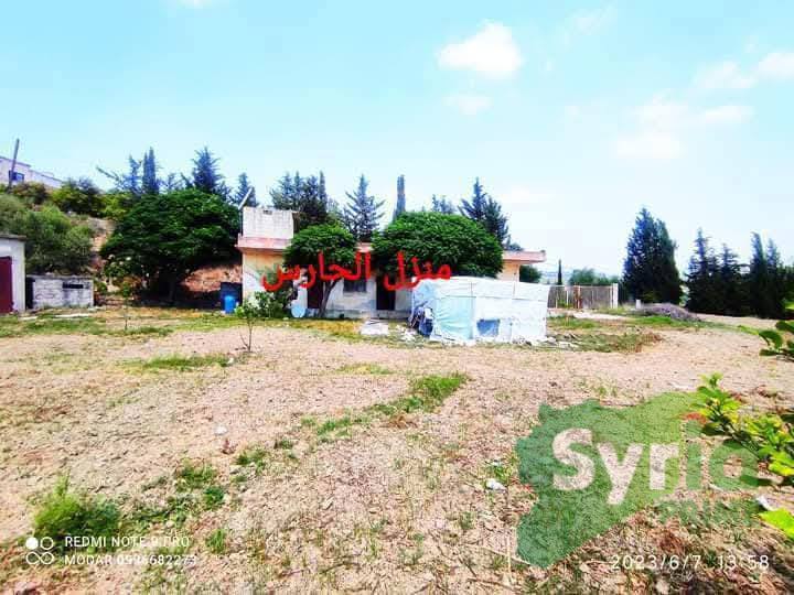 Syria Prime - عقارات سوريا برايم -4 Sale Farm Latakia 140000 USD