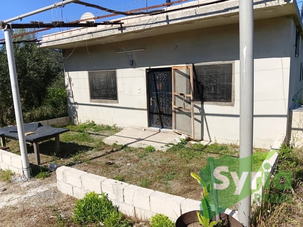 Syria Prime - عقارات سوريا برايم -1 Sale Land Latakia 350000000 SYP
