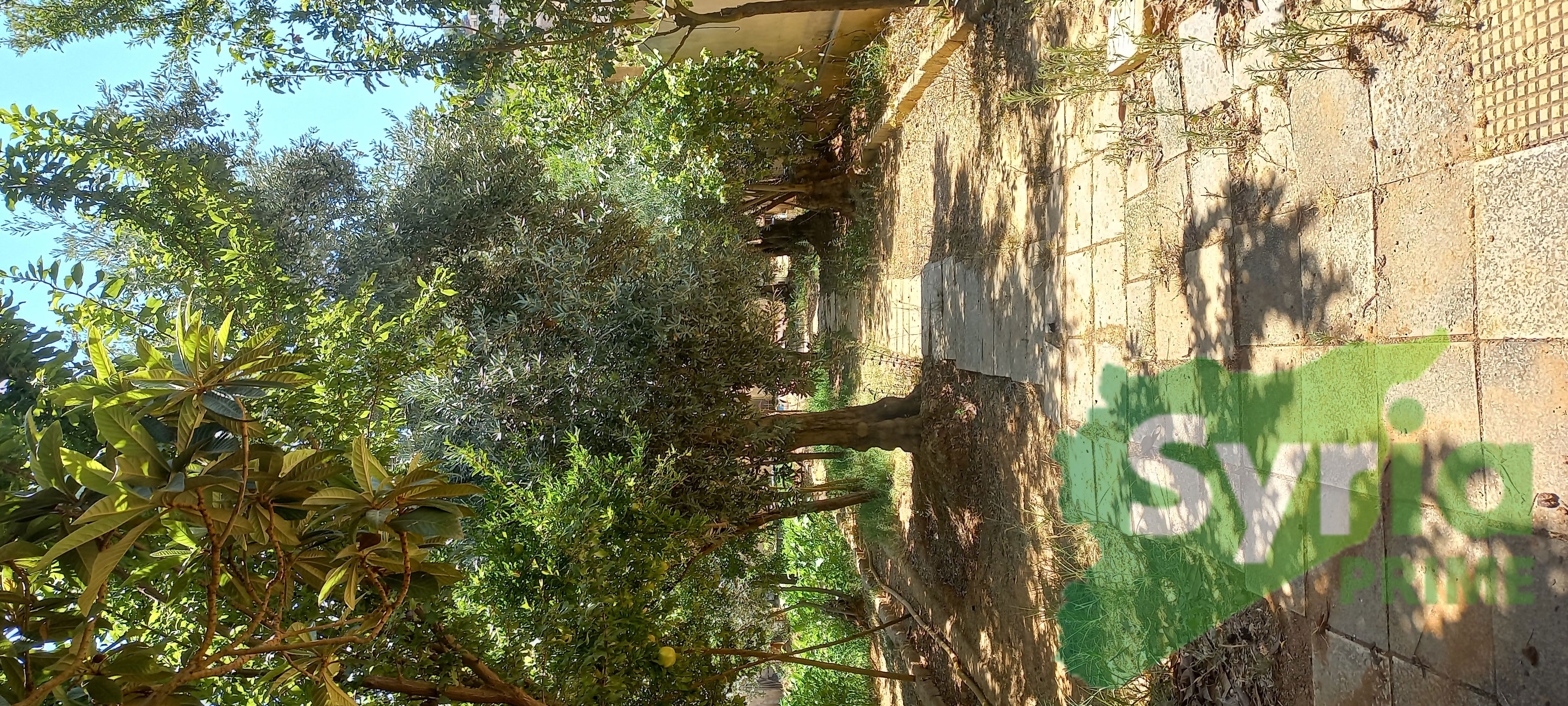 Syria Prime - عقارات سوريا برايم -3 Sale Land RifDimashq 275000 USD