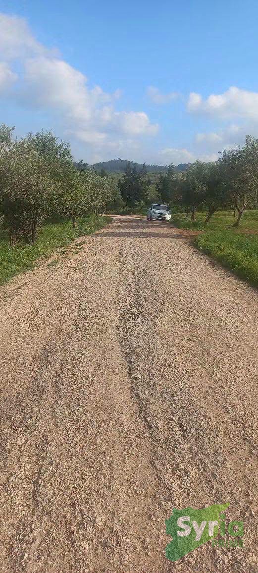 Syria Prime - عقارات سوريا برايم -1 Sale Farm Latakia 12500 USD