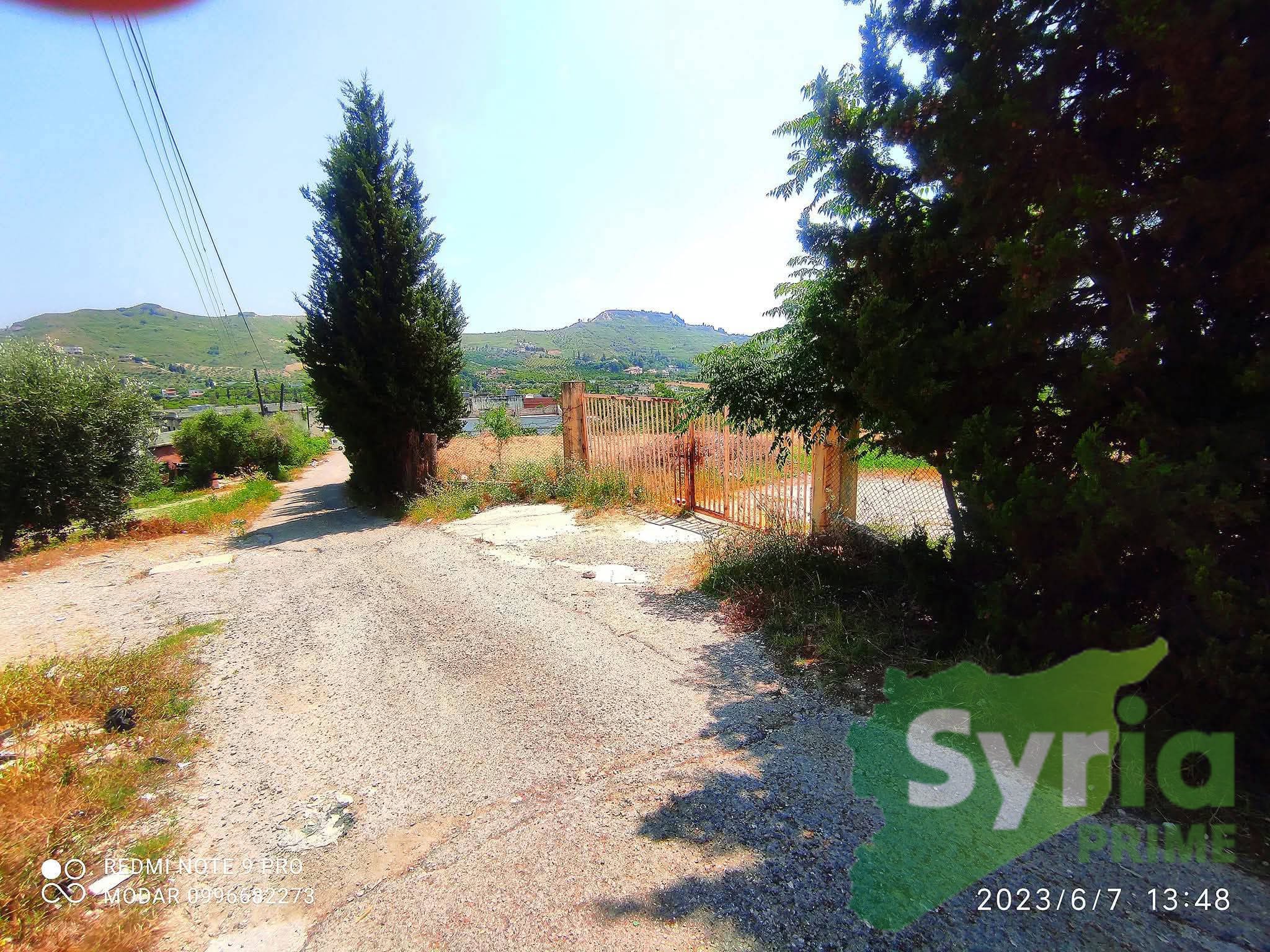 Syria Prime - عقارات سوريا برايم -2 Sale Farm Latakia 140000 USD