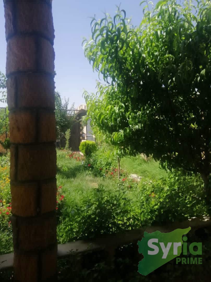 Syria Prime - عقارات سوريا برايم -1 Sale Farm RifDimashq 60000 USD