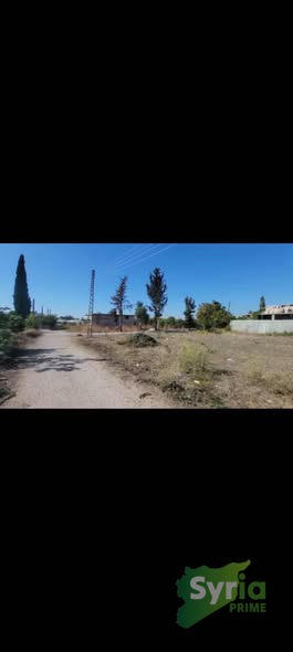 Syria Prime - عقارات سوريا برايم - gallery_6488 Sale Land Latakia 80000000 SYP