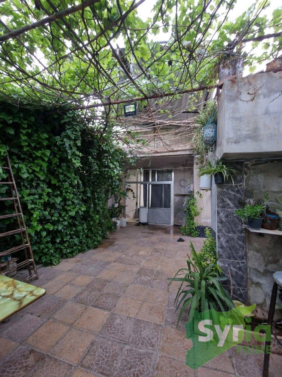 Syria Prime - عقارات سوريا برايم -0 Sale Farm RifDimashq 40000 USD