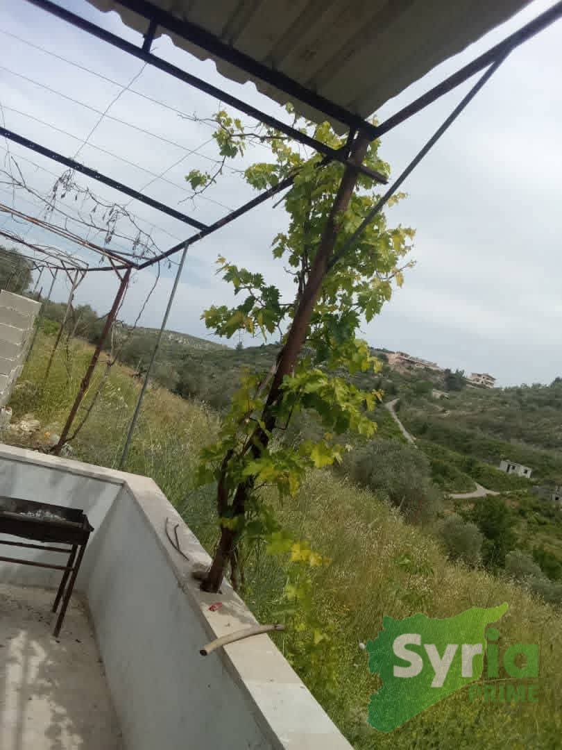 Syria Prime - عقارات سوريا برايم -0 Sale Farm Latakia 150000000 SYR