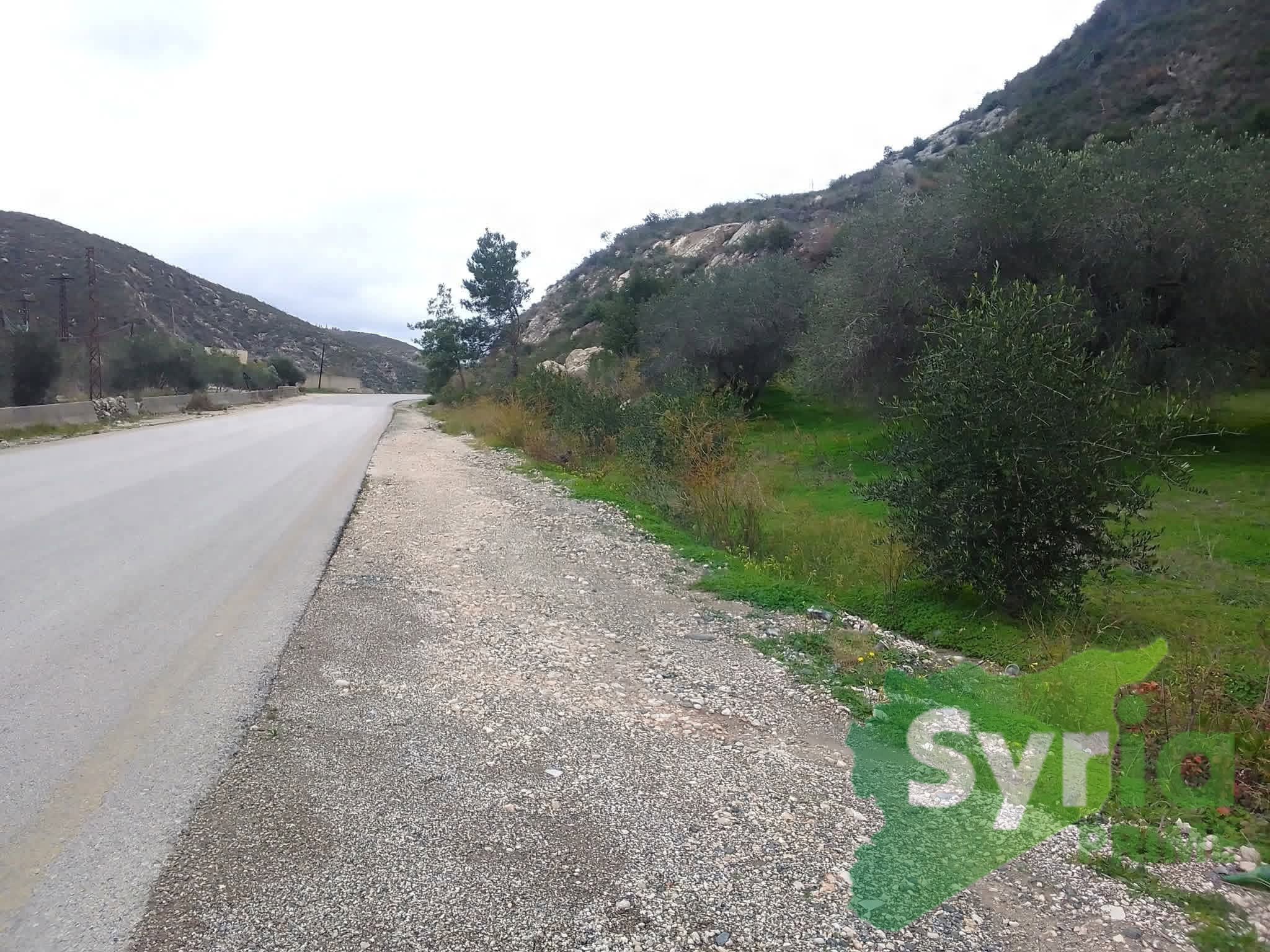 Syria Prime - عقارات سوريا برايم -1 Sale Land Latakia 36000 USD