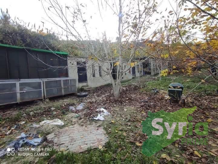 Syria Prime - عقارات سوريا برايم -0 Sale Farm Latakia 125000 USD