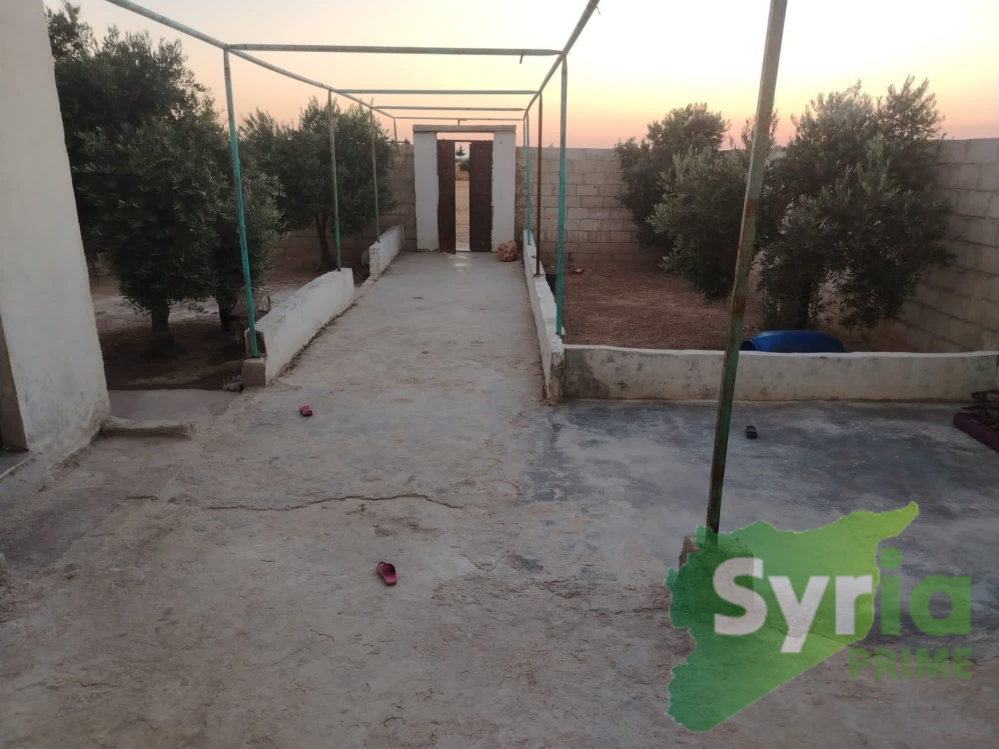 Syria Prime - عقارات سوريا برايم -1 Sale House Hama 54000000 SYP