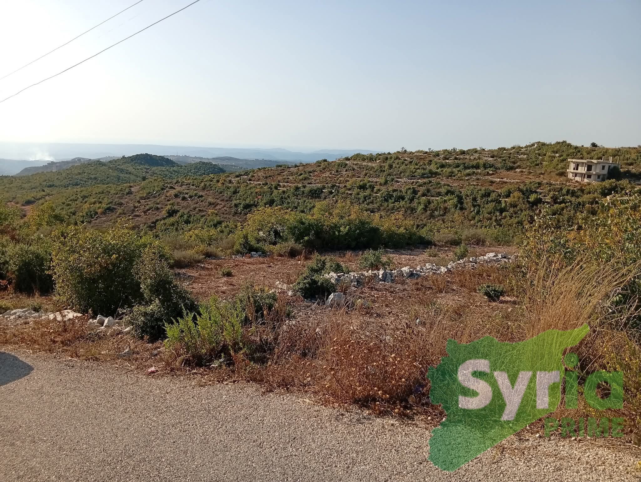 Syria Prime - عقارات سوريا برايم - gallery_4339 Sale Land Latakia 17000 USD