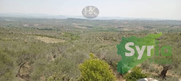 Syria Prime - عقارات سوريا برايم -2 Sale Farm Latakia 60000 USD